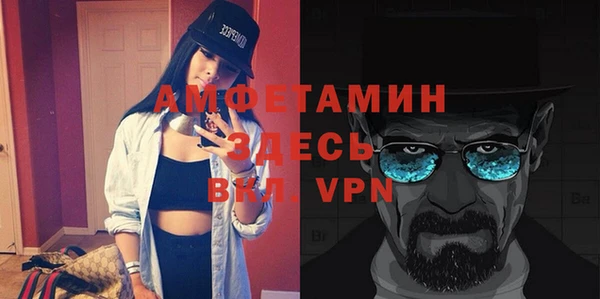 стаф Богданович