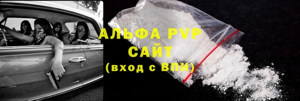 стаф Богданович