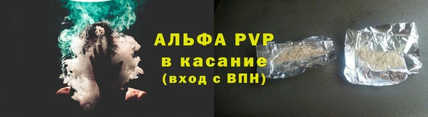 стаф Богданович