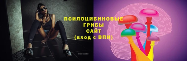 стаф Богданович