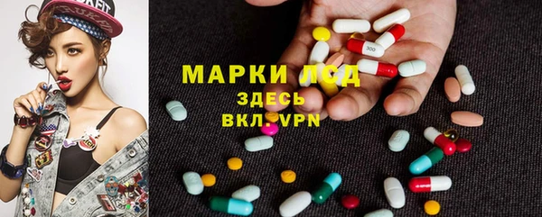 крисы Ахтубинск