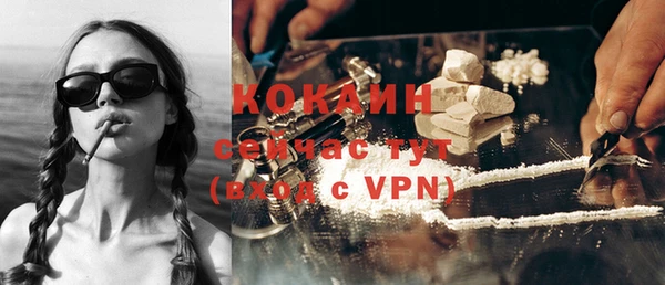 стаф Богданович
