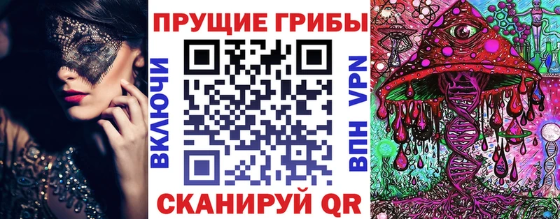 Галлюциногенные грибы Psilocybe где продают ОМГ ОМГ как войти Буйнакск
