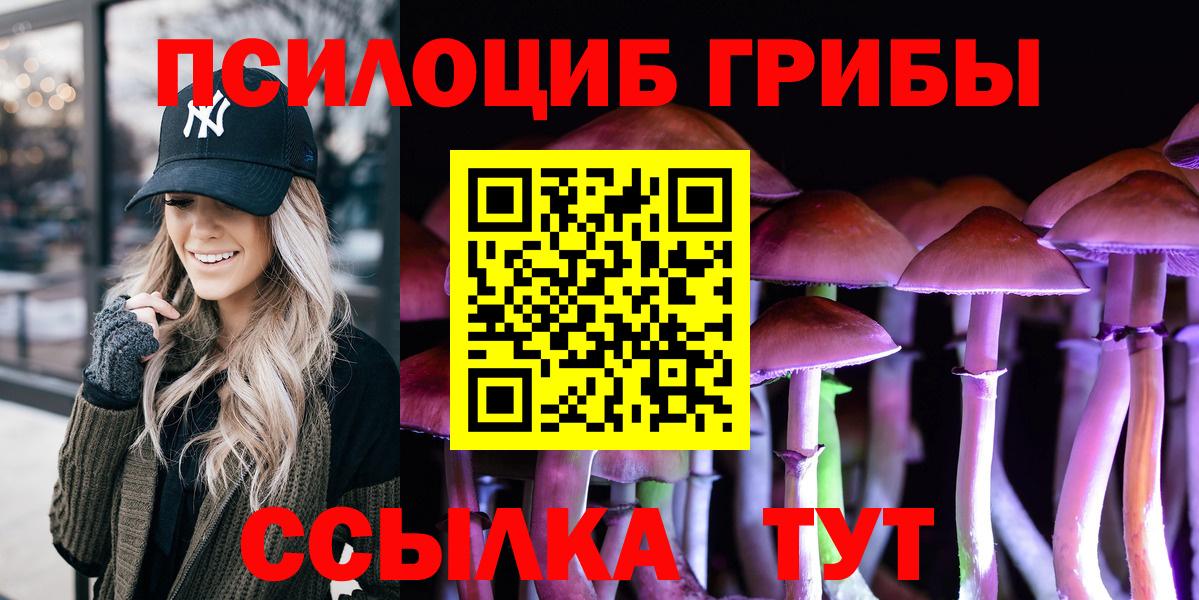 Буйнакск  Псилоцибиновые грибы мицелий  Вход с VPN 