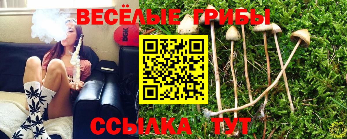 Псилоцибиновые грибы Psilocybine cubensis  Буйнакск  Псилоцибиновые грибы Cubensis 